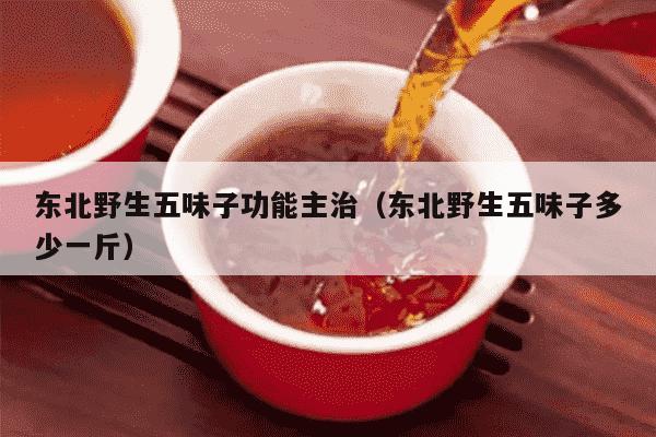 东北野生五味子功能主治（东北野生五味子多少一斤）