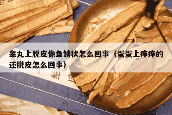 睾丸上脱皮像鱼鳞状怎么回事（蛋蛋上痒痒的还脱皮怎么回事）