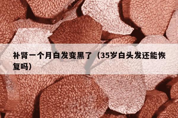 补肾一个月白发变黑了（35岁白头发还能恢复吗）
