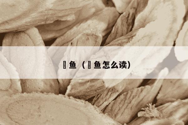 鲿鱼（鲿鱼怎么读）