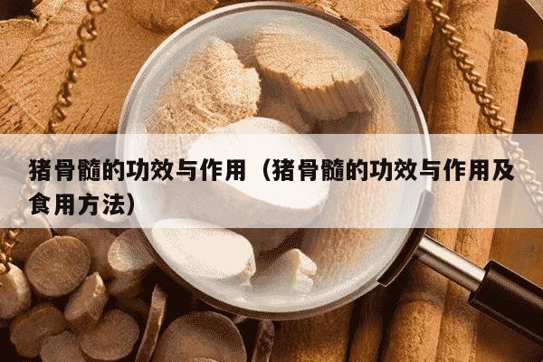 猪骨髓的功效与作用（猪骨髓的功效与作用及食用方法）