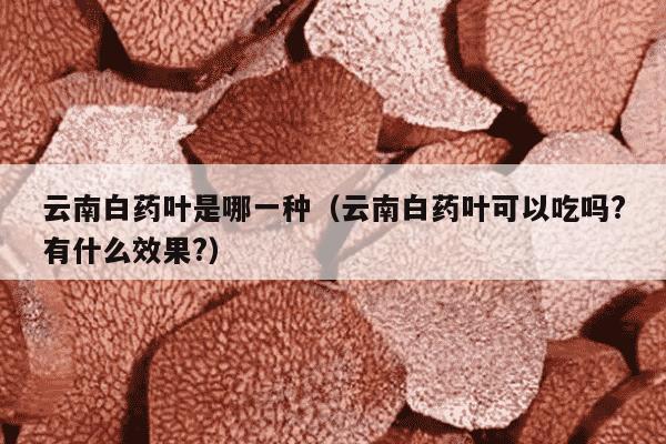 云南白药叶是哪一种（云南白药叶可以吃吗?有什么效果?）