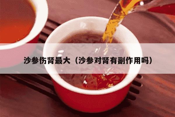 沙参伤肾最大（沙参对肾有副作用吗）