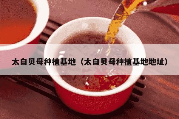 太白贝母种植基地（太白贝母种植基地地址）