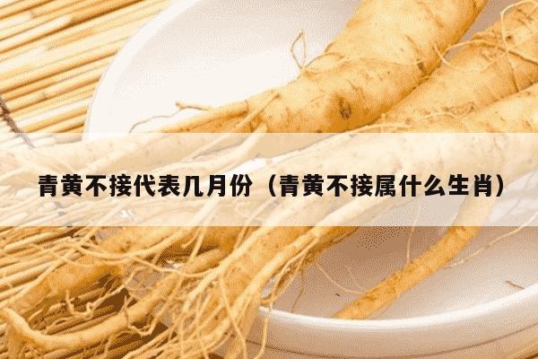 青黄不接代表几月份（青黄不接属什么生肖）