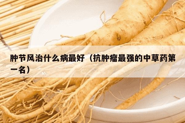 肿节风治什么病最好（抗肿瘤最强的中草药第一名）