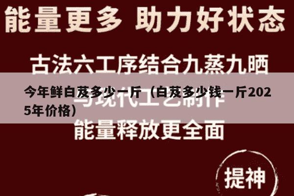 今年鲜白芨多少一斤（白芨多少钱一斤2025年价格）