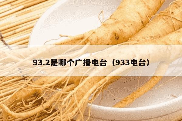 93.2是哪个广播电台（933电台）