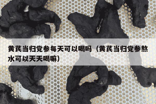 黄芪当归党参每天可以喝吗（黄芪当归党参熬水可以天天喝嘛）