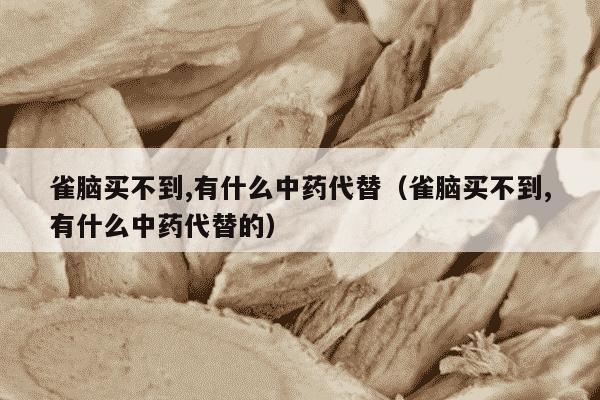 雀脑买不到,有什么中药代替（雀脑买不到,有什么中药代替的）