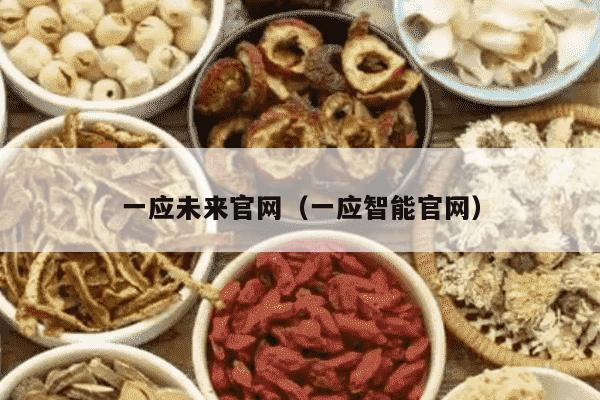 一应未来官网（一应智能官网）