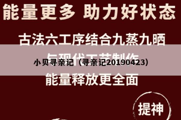 小贝寻亲记（寻亲记20190423）