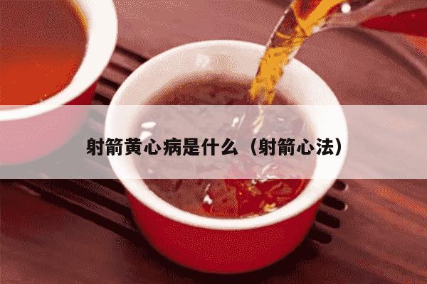 射箭黄心病是什么（射箭心法）