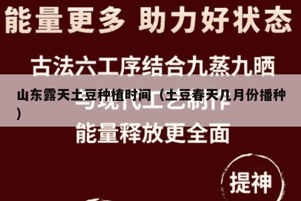 山东露天土豆种植时间（土豆春天几月份播种）
