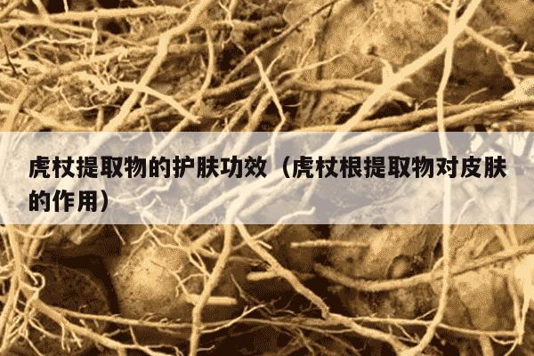 虎杖提取物的护肤功效（虎杖根提取物对皮肤的作用）