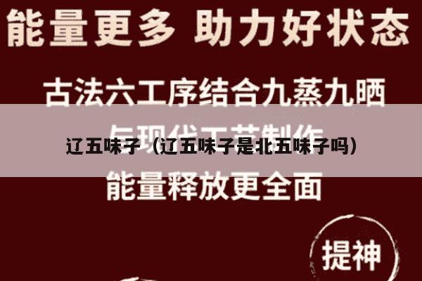 辽五味子（辽五味子是北五味子吗）