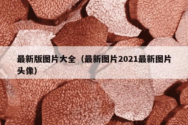 最新版图片大全（最新图片2021最新图片头像）