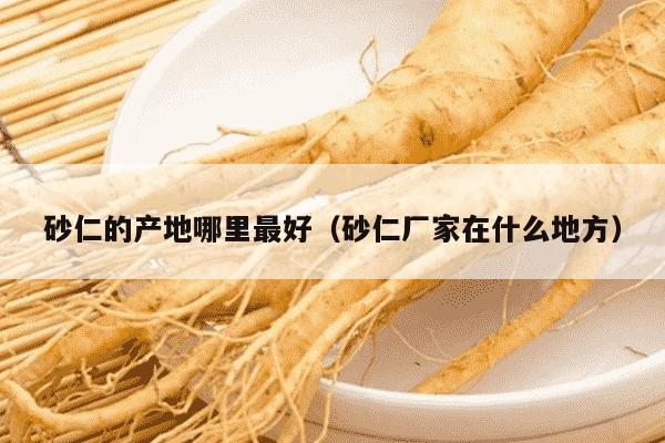 砂仁的产地哪里最好（砂仁厂家在什么地方）