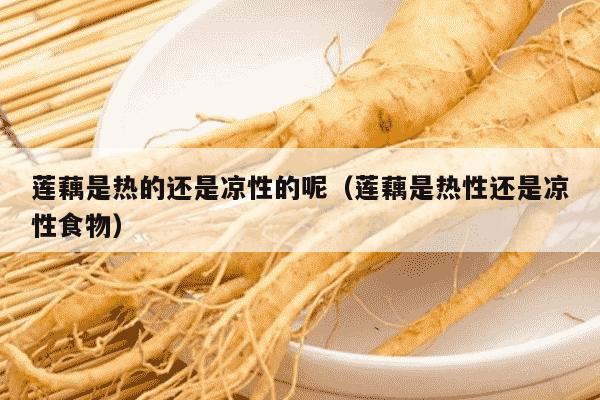 莲藕是热的还是凉性的呢（莲藕是热性还是凉性食物）