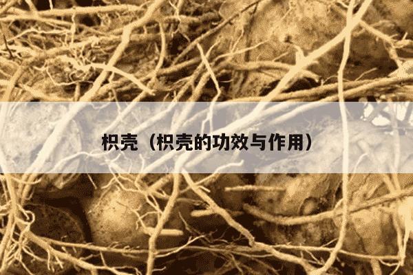 枳壳（枳壳的功效与作用）