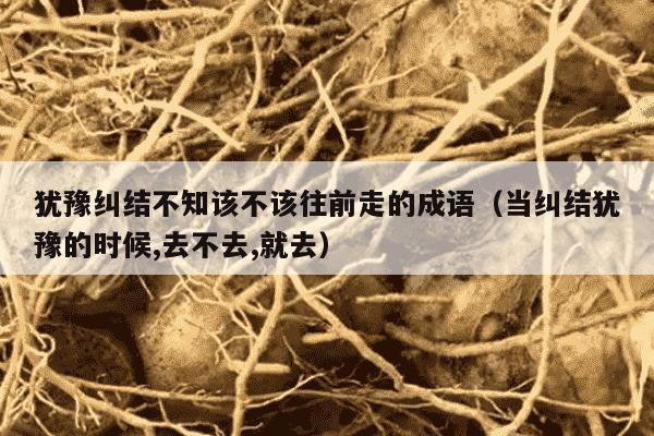 犹豫纠结不知该不该往前走的成语（当纠结犹豫的时候,去不去,就去）
