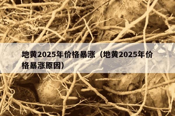 地黄2025年价格暴涨（地黄2025年价格暴涨原因）