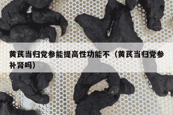 黄芪当归党参能提高性功能不（黄芪当归党参补肾吗）