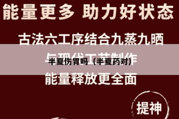 半夏伤胃吗（半夏药对）