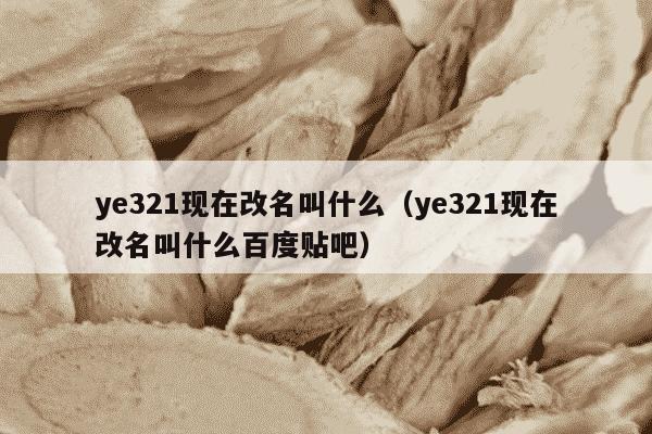 ye321现在改名叫什么（ye321现在改名叫什么百度贴吧）