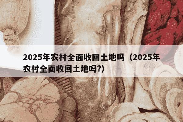 2025年农村全面收回土地吗（2025年农村全面收回土地吗?）