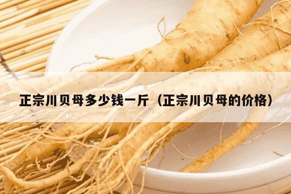 正宗川贝母多少钱一斤（正宗川贝母的价格）