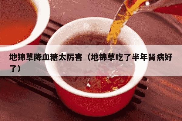 地锦草降血糖太厉害（地锦草吃了半年肾病好了）