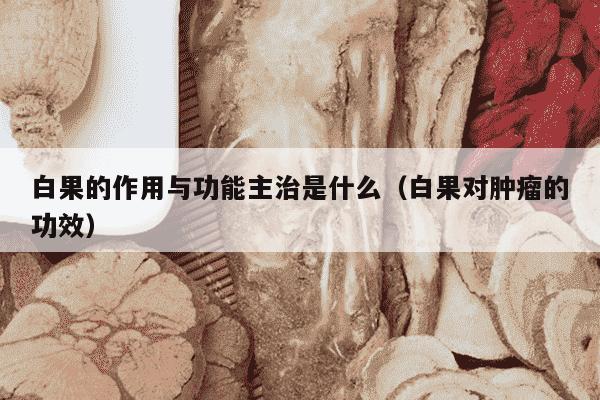 白果的作用与功能主治是什么（白果对肿瘤的功效）