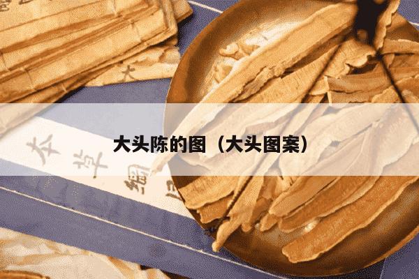 大头陈的图（大头图案）