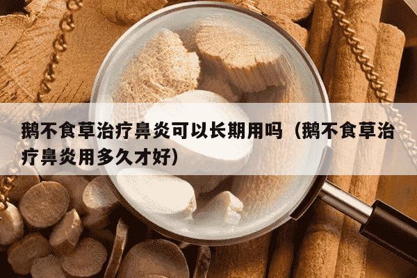 鹅不食草治疗鼻炎可以长期用吗（鹅不食草治疗鼻炎用多久才好）