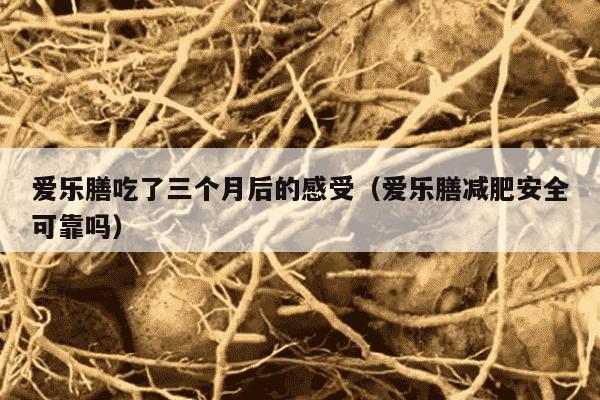 爱乐膳吃了三个月后的感受（爱乐膳减肥安全可靠吗）