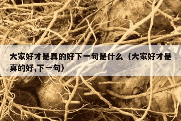 大家好才是真的好下一句是什么（大家好才是真的好,下一句）