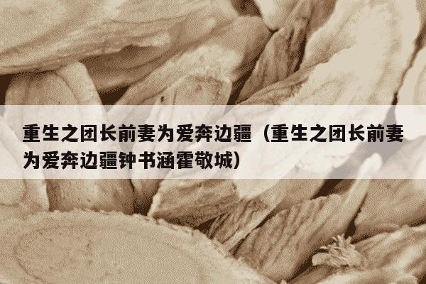 重生之团长前妻为爱奔边疆（重生之团长前妻为爱奔边疆钟书涵霍敬城）