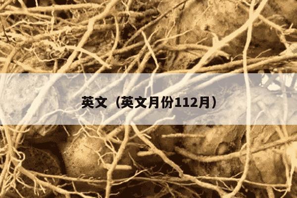 英文（英文月份112月）
