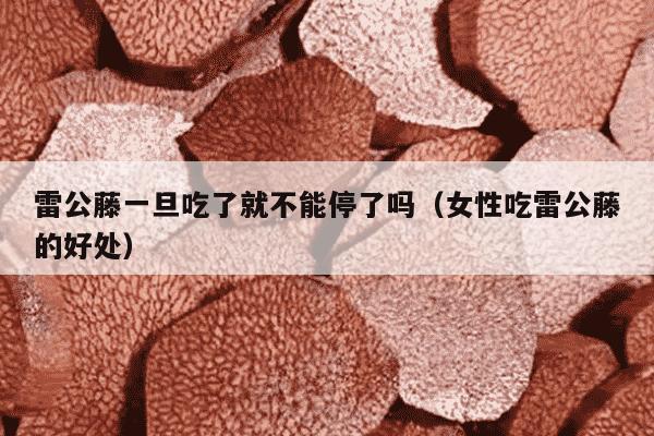 雷公藤一旦吃了就不能停了吗（女性吃雷公藤的好处）