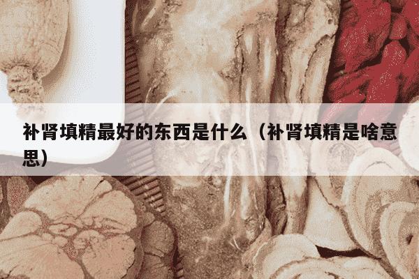 补肾填精最好的东西是什么（补肾填精是啥意思）