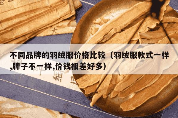 不同品牌的羽绒服价格比较（羽绒服款式一样,牌子不一样,价钱相差好多）
