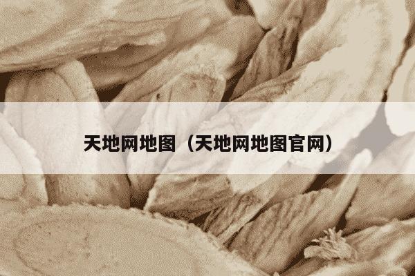 天地网地图（天地网地图官网）