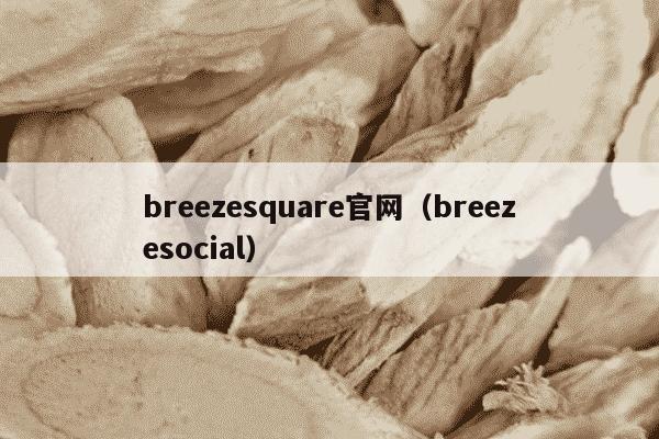 breezesquare官网（breezesocial）