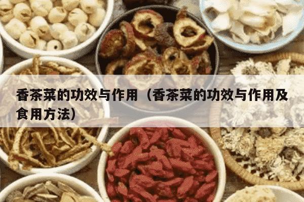 香茶菜的功效与作用（香茶菜的功效与作用及食用方法）