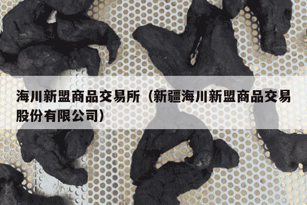 海川新盟商品交易所（新疆海川新盟商品交易股份有限公司）