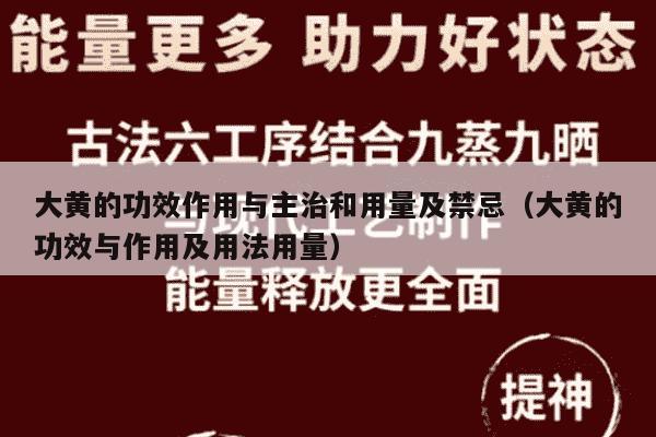 大黄的功效作用与主治和用量及禁忌（大黄的功效与作用及用法用量）