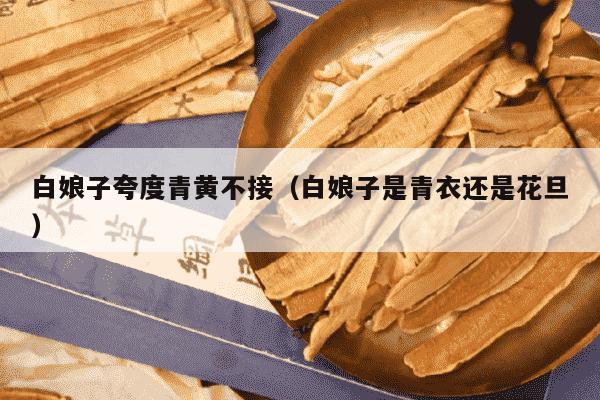白娘子夸度青黄不接（白娘子是青衣还是花旦）
