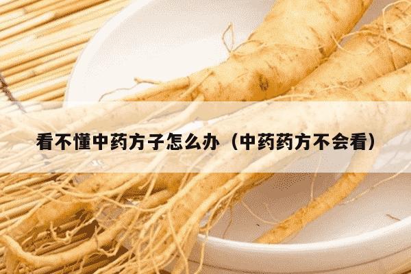看不懂中药方子怎么办（中药药方不会看）
