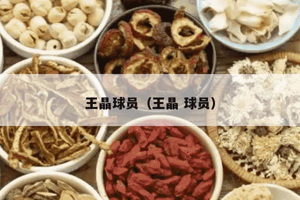 王晶球员（王晶 球员）